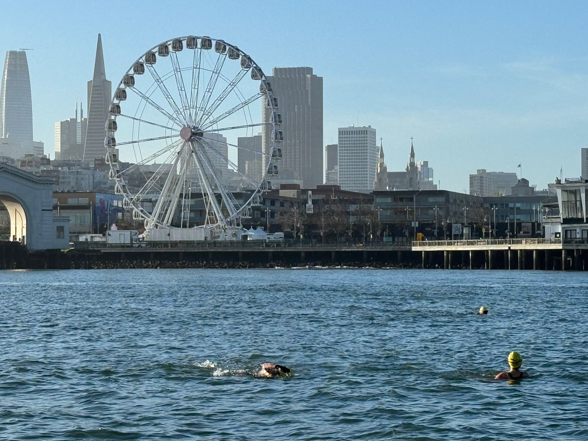 MARATHON SWIM TRAINING (4 hours)